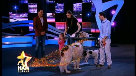 Relaţia dintre oameni şi animale este impresionantă! Iată dovada clară că un câine poate schimba viaţa