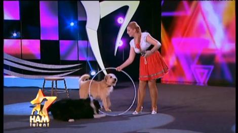 Sunt adorabili! Spectacol de circ cu căței foarte talentaţi: "Mi-a plăcut mult ce am văzut. Bravo!"