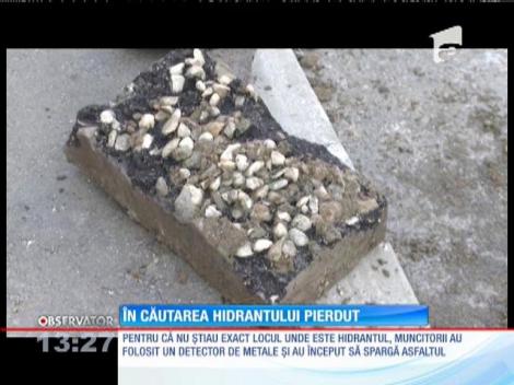 Dorel, în căutarea hidrantului pierdut