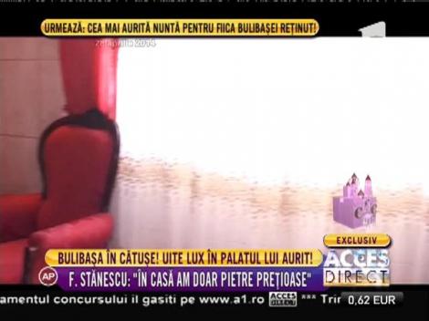 Ferdinand Stănescu, prins în flagrant, în timp ce primea 12,000 de euro!  O să înnebuneşti când o să vezi ce are în palat
