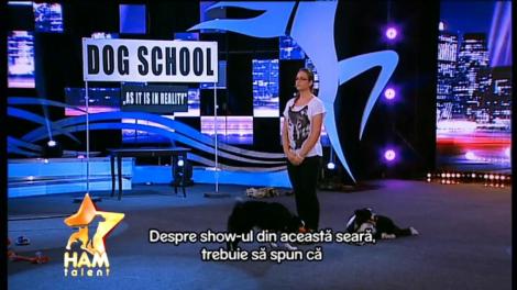 Nota zece şi un loc în finala "Ham talent"! Iggy și Zeus au fost cei mai buni elevi de la școala pentru căței