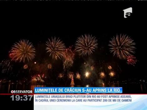 Cel mai mare brad plutitor din lume