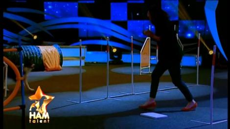 Originalitate şi multă energie! Animăluţele din clubul Ringstar Agility au fost răsplătite cu un loc în marea finală