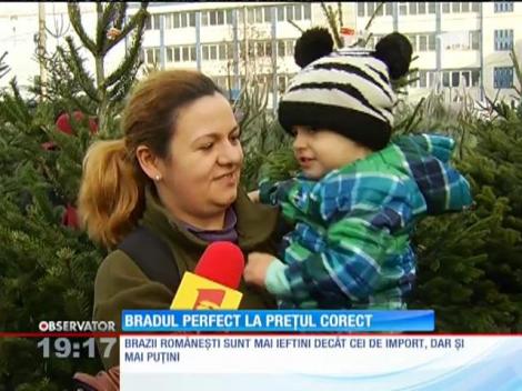 Cât costă un brad de Crăciun