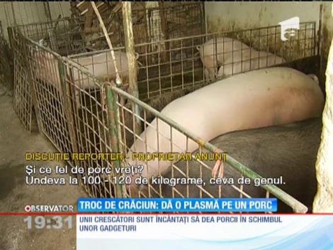 Un televizor nou la fel de valoros ca un porc