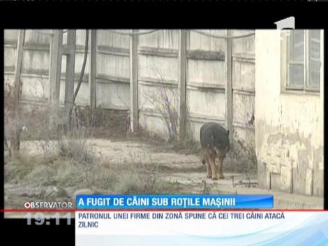 Update / Un copil din Sibiu a fost lovit de un taxi