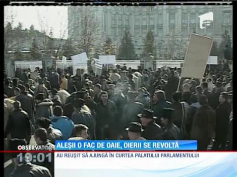 Update / Ciobanii s-au ciocnit cu jandarmii, în faţa Palatului Parlamentului