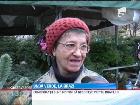 În Braşov, peste 700 de brazi au fost puşi la dispoziţie de primărie