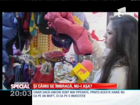 Special! Odată cu venirea sezonului rece, garderoba patrupezilor trebuie pregătită