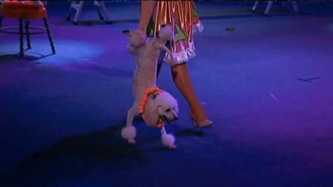 A fost spectacol, dar n-a fost tehnică! Lord, Michi, Oscar și Tedi au reuşit să adune cinci de "DA!"