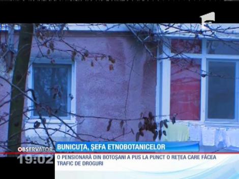 O femeie de 60 de ani a ajuns să conducă reţeaua traficanţilor de droguri, din Botoşani
