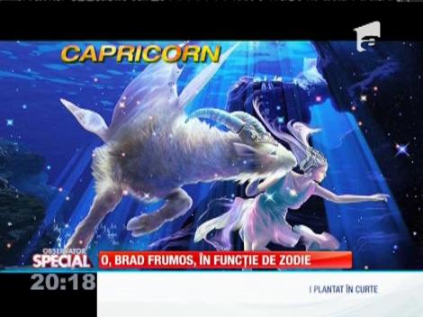 SPECIAL! Cum &icirc;şi decorează fiecare zodie bradul de Crăciun