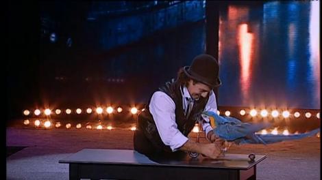 „Bonjour, bonjour!” Papagalul Cassie câștigă inimile tuturor și primește un loc în finala "Ham Talent"!