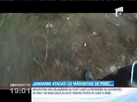 Oamenii legii au fost atacaţi de negustorii de animale din Călugăreni cu măruntaie şi bucăţi de carne