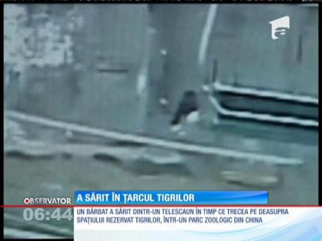 Un bărbată sărit dintr-un telescaun în timp ce trecea pe deasupra spaţiului rezervat tigrilor, într-un parc zoologic din China