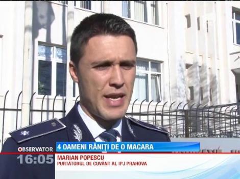 Patru oameni au fost răniţi după ce braţul unei macarale a lovit trei maşini, la Comarnic