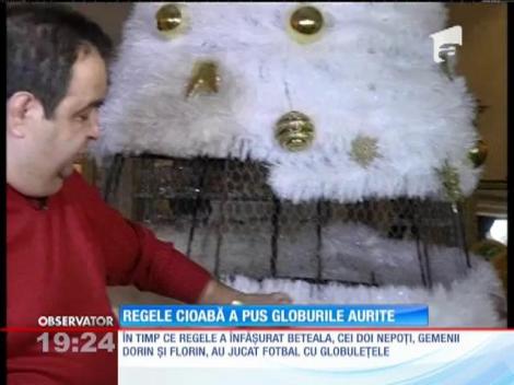 Bradul regelui Cioabă îl aşteaptă pe Moş Crăciun!