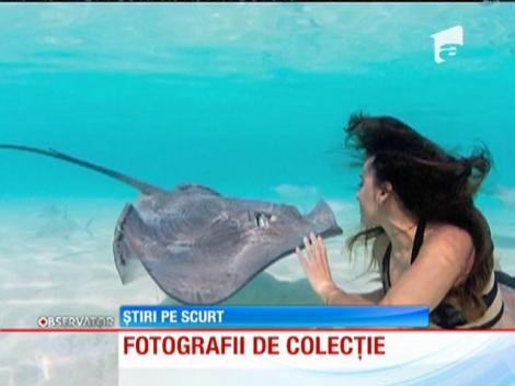 Cele mai frumoase fotografii în apele Oceanului Pacific