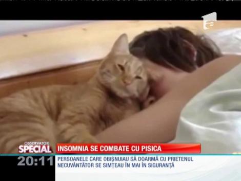 SPECIAL! Insomnia se combate cu pisica
