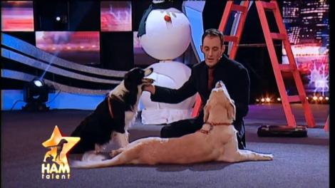 Spectacol canin la înălțime! Oli și Mira nu au dezamăgit nici în finala Ham Talent! Ce reprezentație au oferit