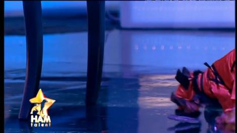 Hulk, câinele karatist, l-a speriat până și pe Pitbull Atodiresei! Ce show a făcut în marea finală