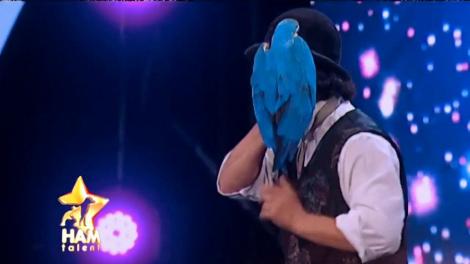 Cassie și Fifi, papagalii bascketbaliști au făcut senzație în finala ”Ham Talent”