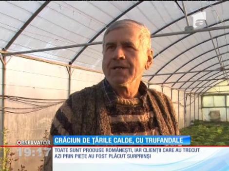 Vremea caldă a adus profit legumicultorilor care și-au expus marfa în piețe