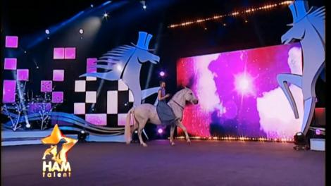 Mihai Petre, impresionat total de Pluto! Armăsarul și-a dovedit încă o dată talentul de dansator