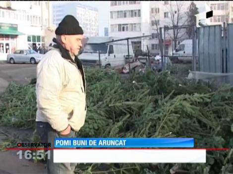 Sute de pomi de Crăciun, abandonaţi în pieţe