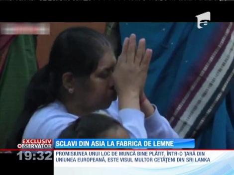 Zeci de muncitori veniţi din Sri Lanka, exploataţi de patronul unei fabrici din Vâlcea