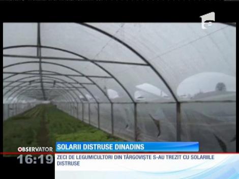 Solarii distruse intenționat. Oamenii îl acuză pe un fost paznic