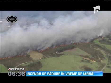 Incendii de pădure în nordul Spaniei