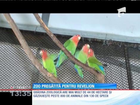 Grădina zoologică din Târgu Mureş, pregătită pentru Revelion