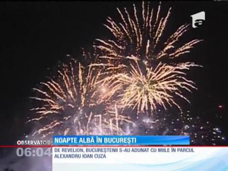 De Revelion, bucureștenii s-au adunat cu miile în parcul Alexandru Ioan Cuza
