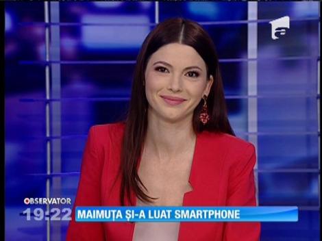 O maimuță de la grădina zoologică din Braşov și-a luat smartphone