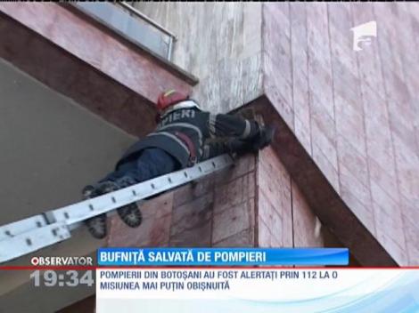 Bufniţă salvată de pompieri
