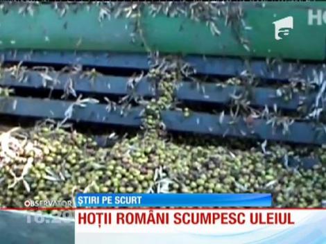 Hoţii români cresc preţul uleiului de măsline din Spania
