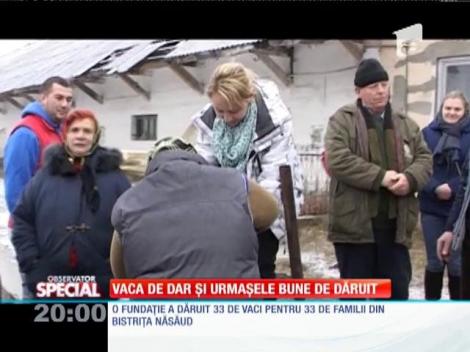 SPECIAL! Primeşti vacă, dai viţeluşa