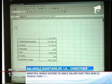 Ministrul Munci susţine că unele salarii sunt prea mari şi trebuie corectate