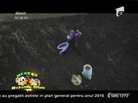 Zdob şi Zdub - "Sunt hoinar, sunt lăutar"