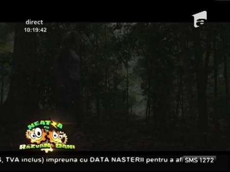 Irina Margareta Nistor prezintă ultimele filme apărute