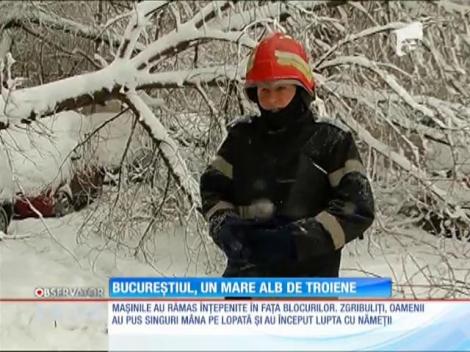 Bucureştiul a devenit capitala viscolului şi a omătului