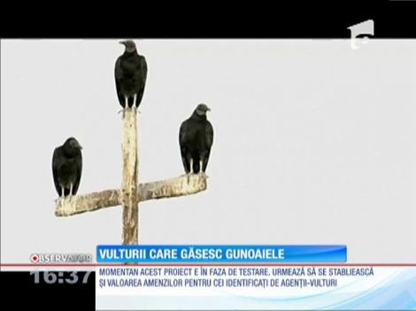 Autorităţile din statul Peru folosesc vulturi pentru a descoperi unde se depozitează ilegal deşeurile