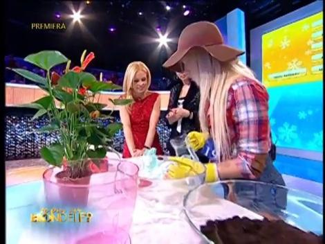 Blondele arată modul prin care florile se pot păstra în viaţă pentru mai mult timp