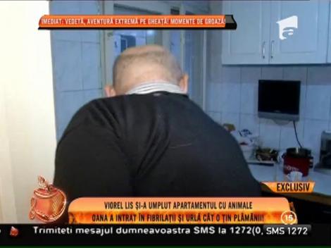 Casa soţilor Lis s-a transformat în menajerie!