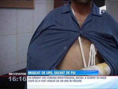 Un bărbat din Bacău, salvat de propriul fiu din ghearele unui urs