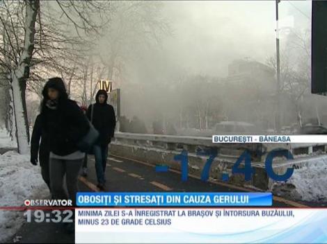 Obosiţi şi stresaţi din cauza gerului
