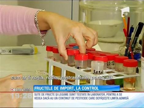Importurile ieftine de legume şi fructe, în vizorul autorităţilor