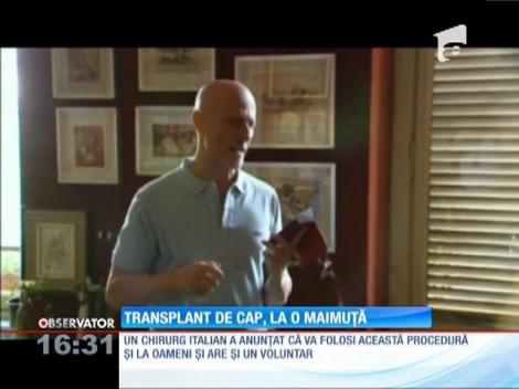 Chinezii au efectuat cu succes operaţie de transplant de cap la o maimuţă