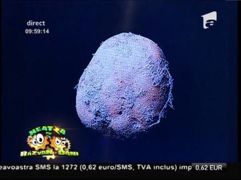 Cel mai celebru cartof din lume! O fotografie cu el a fost vândută cu peste un milion de dolari!